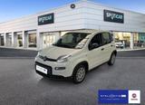 Fiat Panda Base - Fiat Panda Gebrauchtwagen in Düsseldorf