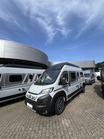 Carado pro+ CV 600  Modell 2025 