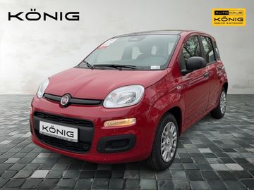 Fiat Leasingangebot: Fiat Panda MY25 1.0 Klima PDC Citypaket