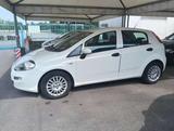 Fiat Punto Punto 5p 1.4 easypower Street Gpl E6 - Fiat Punto mit LPG-Antrieb