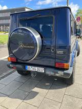 Mercedes-Benz 300 TD  ORC Fahrwerk  1.Lack - Mercedes-Benz 300 in Gelsenkirchen