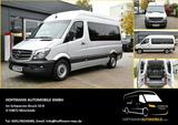 Mercedes-Benz Sprinter 316 CDI Kombi Bus 9-Sitze Standheizung - Mercedes-Benz Sprinter: 9