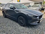 Mazda CX-30 Selection 2WD 1-Hand 64Tkm 8fach bereift - Mazda: 8