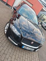 Jaguar XF 20d AWD 180PS Pure Sportbrake Automatik Pure - Jaguar XF: Pure