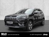 Jeep Cherokee Limited 4WD 2.2 MultiJet EU6d-T Park-As - Jeep Cherokee aus 2020