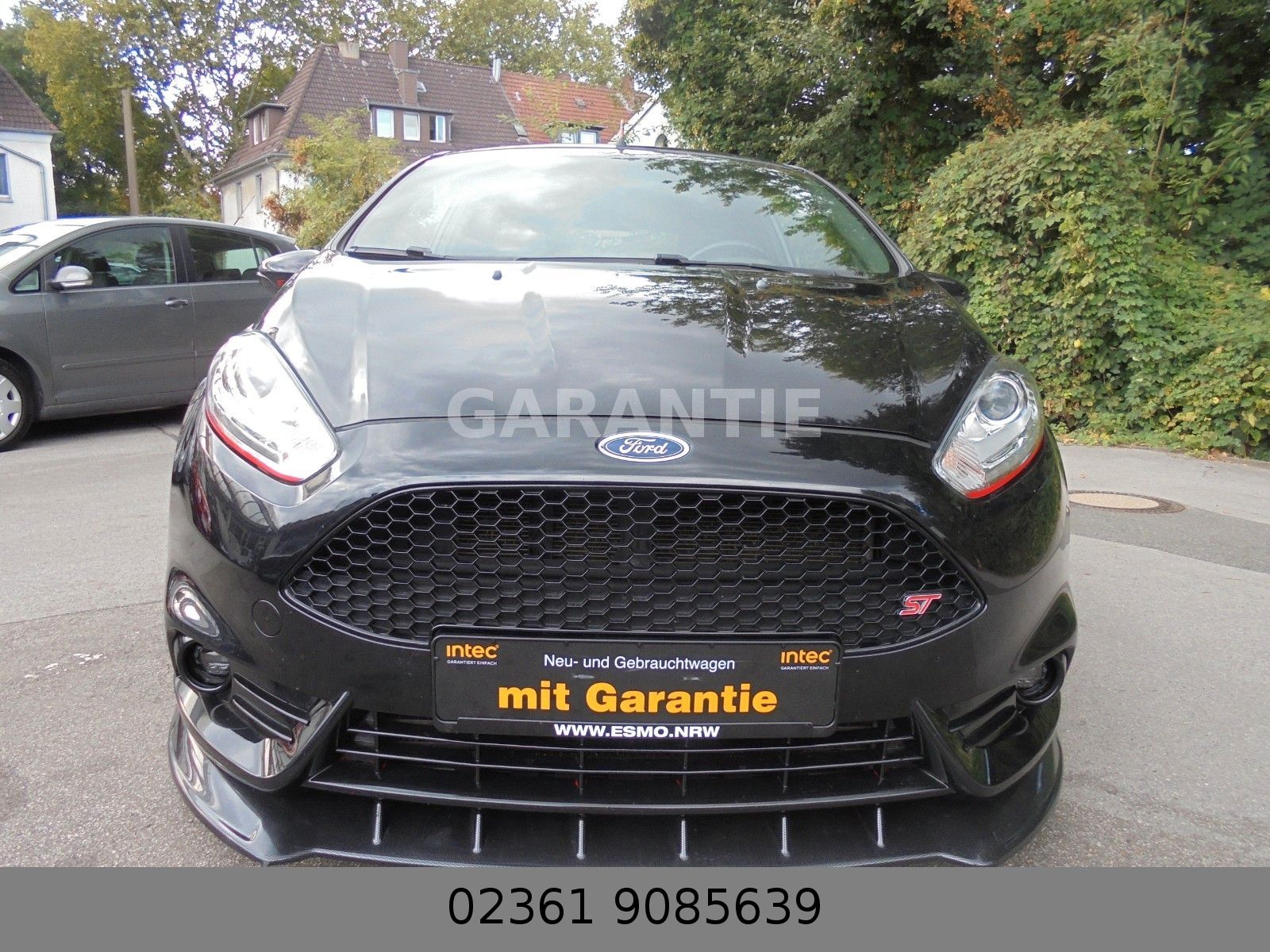 Fahrzeugabbildung Ford Fiesta ST Mega Optik