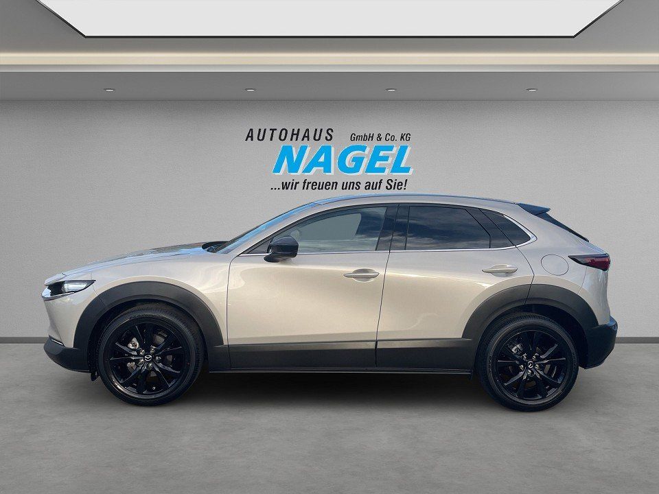 Mazda CX-30 - Bild 5