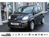 Fiat Panda MY26 Pandina ICON Hybrid 1.0 GSE TEMPOMAT  - Fiat Panda: Schwarz