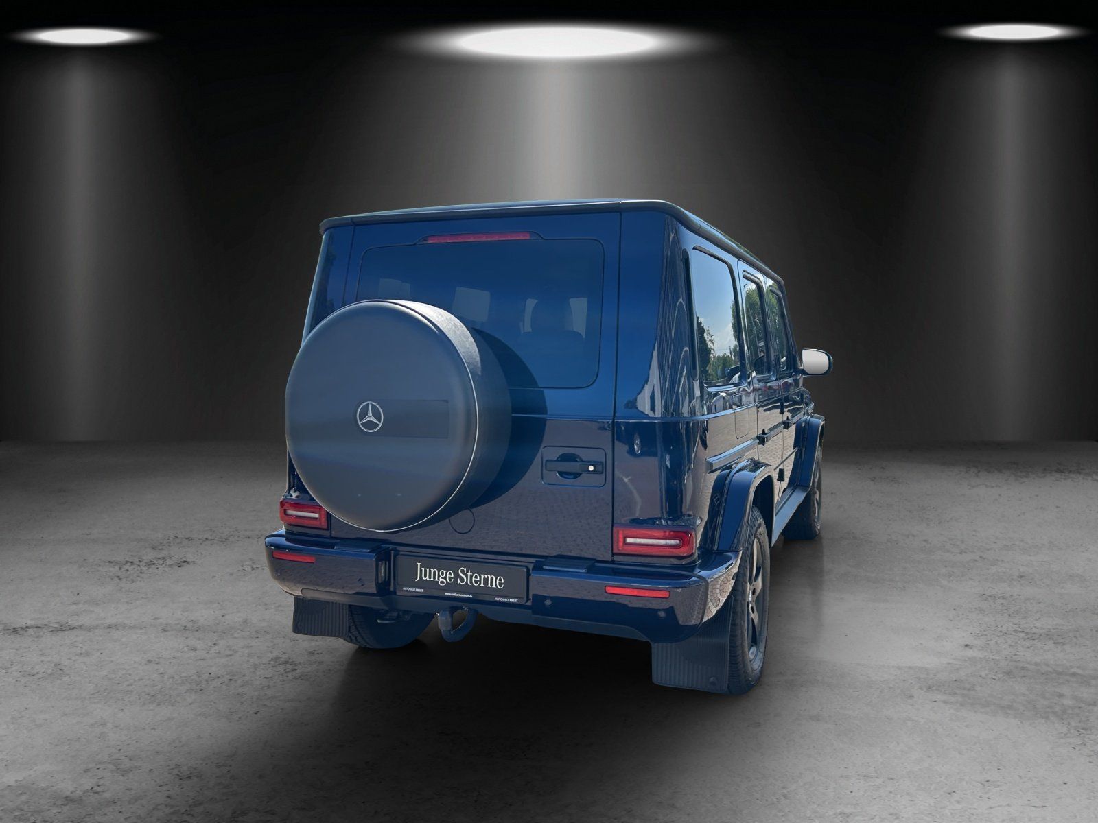 Fahrzeugabbildung Mercedes-Benz G500 Professio AHK Exclusiv Massage Standhz MLED