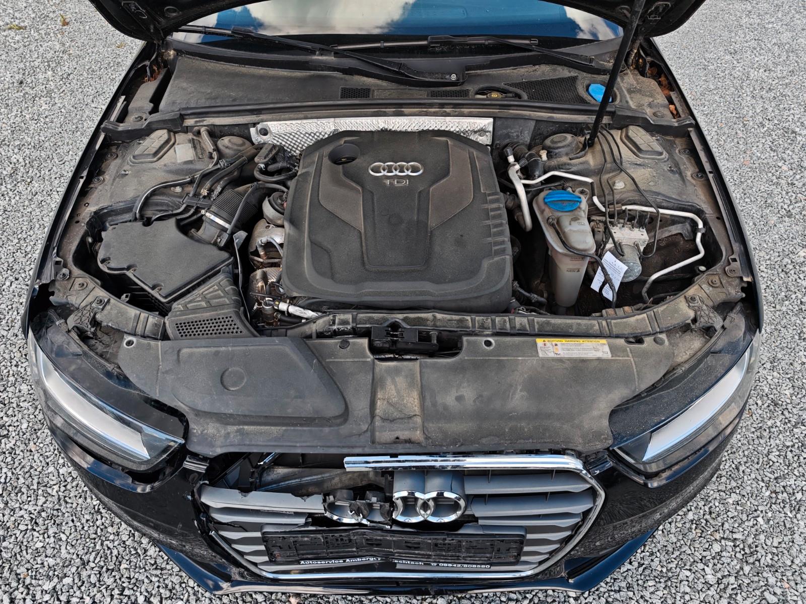 Audi Quattro 2015 — photo 13