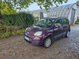 Fiat New Panda 1.2 8V MY PANDA MY PANDA - Fiat New Panda in Stuttgart