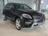 Mercedes-Benz ML 350 CDI BlueTec AMG Sport Paket - Mercedes-Benz: AMG Ml