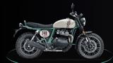 Royal Enfield Bear 650 249 - Royal Enfield Bear 650