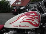 Harley-Davidson Sportster - HARLEY-DAVIDSON 1996