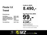 Ford Fiesta 1.0 Trend *Stadtflitzer* - Ford Fiesta Gebrauchtwagen in Leipzig
