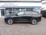 Skoda Kodiaq 2.0 TDI 110 kW DSG Executive - Skoda Kodiaq aus 2025