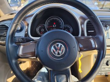 Volkswagen Beetle - 12