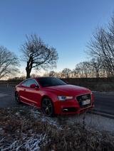 Audi A5 3.0 TDI S tronic quattro - ABT - 2. Hand  - Audi A5: Abt