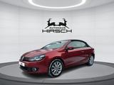 Volkswagen Golf VI Cabriolet 2.0 TDI 17" Navi PDC Standhzg - Volkswagen Golf: Cabrio, 2.0