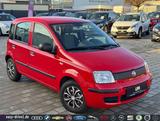 Fiat Panda 1.2 8V Classic/KLIMA/TÜV NEU/8-FACH BEREIF - Fiat Panda: Pickup