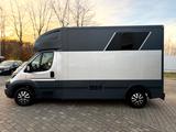 Peugeot Boxer MSG Pferdetransporter 3,5t Stablehopper - Tier-/Pferdetransport 3 pferde