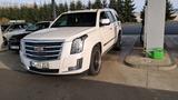 Cadillac Escalade 6.2 V8 Platinum, LPG-Autogas Prinz VS2 