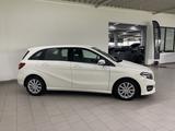 Mercedes-Benz B 180 d URBAN+LED+GARMIN MAP+SITZH.+PARK+17" - : Navigationssystem, Map