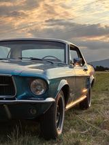Ford Mustang - Ford Mustang aus 1967: Coupé