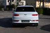 Bentley Bentayga Hybrid First Edition ACC LED HUD Panora - Bentley Bentayga in Stuttgart