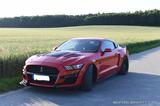 Ford Shelby (mustang tuning) 5.0 litr - mit Benzin-Antrieb: Tuning