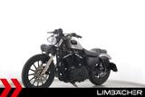 Harley-Davidson SPORTSTER XL 883 N IRON - rat-style - Offers