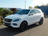Mercedes-Benz ML 250/350 ML -Klasse BlueTec - Mercedes-Benz ML 250 aus 2015