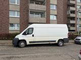 Fiat Ducato Grossr.-Kasten 35 130  L4 - Fiat Ducato in Hannover