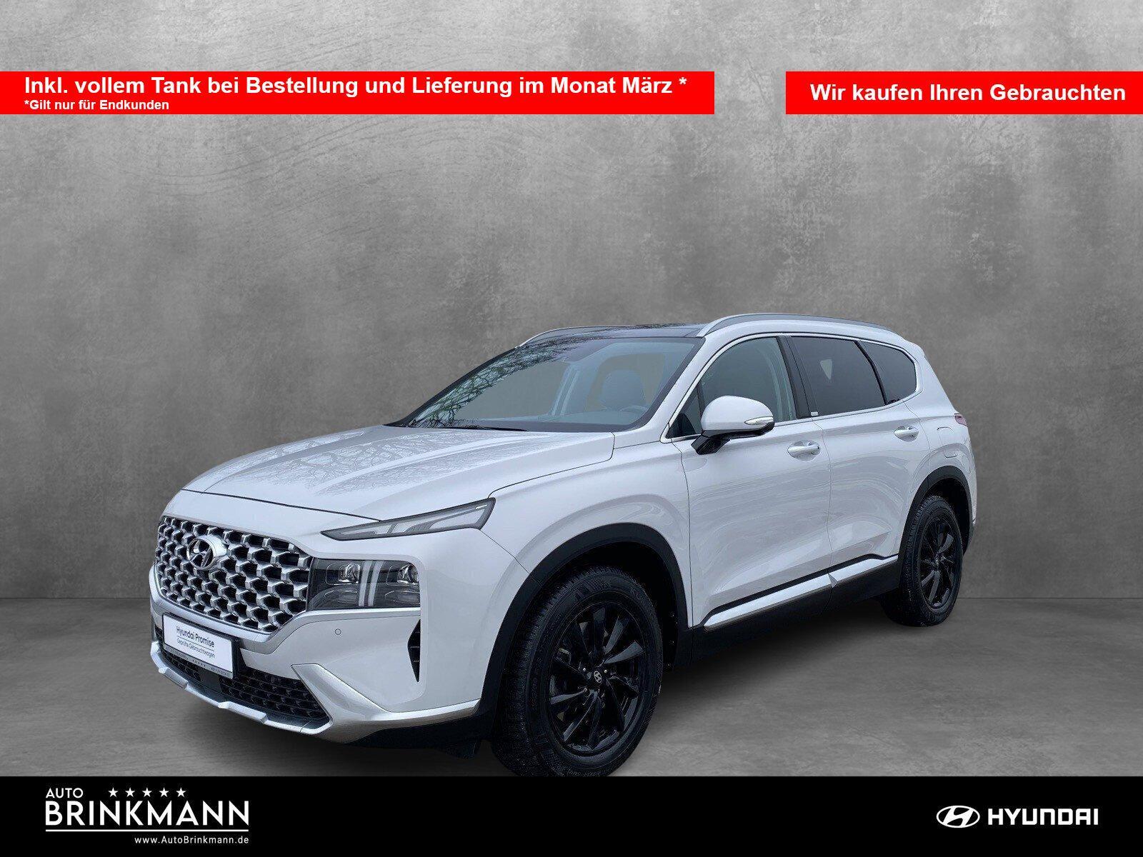 Hyundai Santa Fe 2.2 CRDi Prime 4WD 5-Sitzer(E6d) Navi