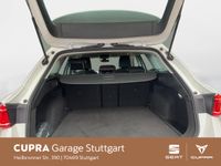 Cupra Leon - Vorschau Bild 6