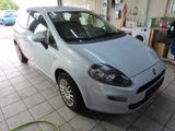Fiat Punto 1,3 More Klima neuer Zahnriemen - gebrauchte Fiat Punto aus dem Jahr 2012