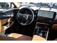 Lexus NX 450h - Vorschau Bild 9