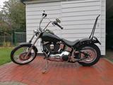 Harley-Davidson FXSTC Softail Custom  - Offers matching your search criteria