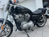 Harley-Davidson Sportster super low XL883L - HARLEY-DAVIDSON SPORTSTER 883 LOW