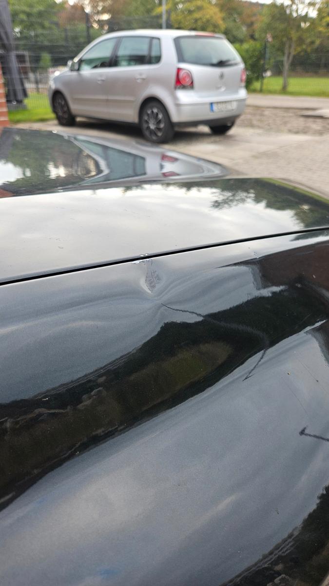 Renault Laguna 2008 — photo 15