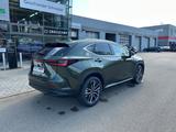 Lexus NX 450h+ E-Four Luxury Panorama Mark Levinson MY - Lexus NX Luxury
