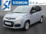 Fiat Panda 1.2 8V Easy Klima Radio DAB MP3 USB elFH - Fiat Panda: 1.3