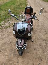 Other Znen Retro Roller | Modell: zn50qt-e  - Offers