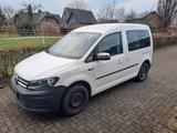 Volkswagen Caddy 2,0TDI 75kW Trendline BlueMotion Trend... - Volkswagen Caddy: Bluemotion