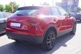 Audi Q2 1.4 TFSI LED Navi Sitzheizung AHK Kamera PDC - mit Benzin-Antrieb: Sitzheizung, Geländewagen