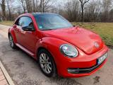 Volkswagen Beetle 1.4 TSI BMT CLUB CLUB Panoramadach - Volkswagen Beetle: Club