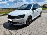 Skoda Fabia Combi Monte Carlo, DSG, 8xReifen, Tüv neu - Skoda Fabia: Standheizung