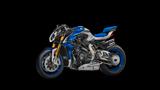MV Agusta Brutale 1000 RR "ASSEN" - MV AGUSTA BRUTALE 1000 RR