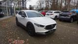 Mazda CX-30 SKYACTIV-G 2.0 150PS M Hybrid - Mazda Gebrauchtwagen in Oldenburg