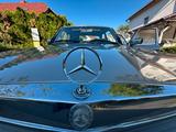 Mercedes-Benz Mercedes W123 240D | ABS | Schiebedach | H... - Mercedes-Benz 240: W123 240d
